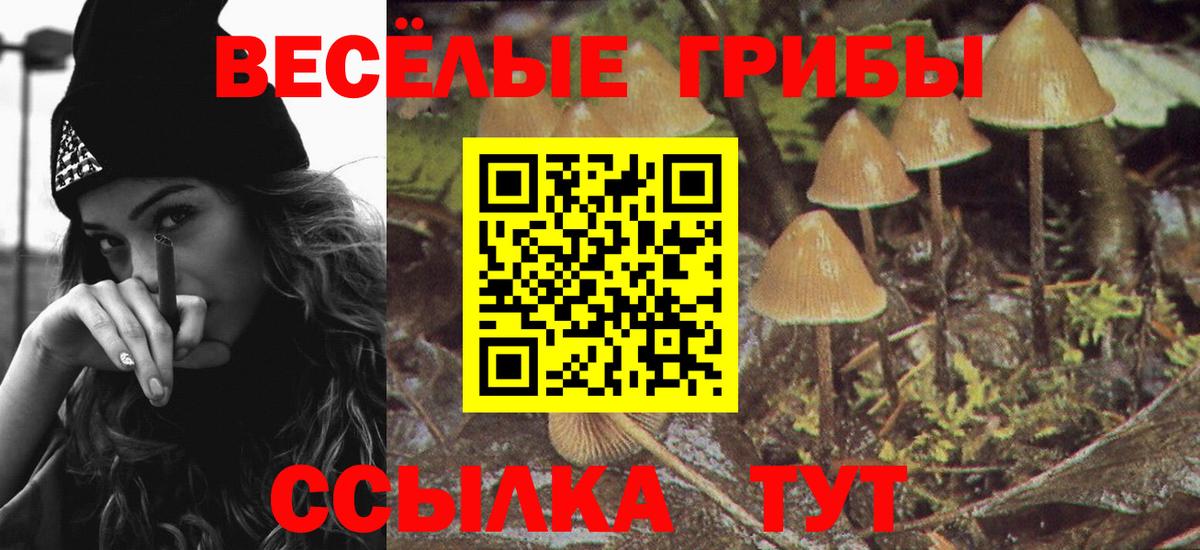 Малгобек  Псилоцибиновые грибы Magic Shrooms  Вход с VPN 
