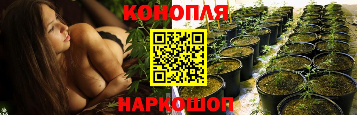 Бошки Шишки SATIVA & INDICA Малгобек